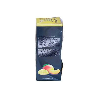 GRASSBURG ARAÇ İÇİ VE KLİMA KOKU GİDERİCİ - TROPİK MANGO 150 ML - 2